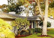 Thumbnail 54 of 64 - A house with a red door and a tree in front.