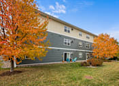 Thumbnail 9 of 9 - A tree with orange leaves is in front of a grey building.