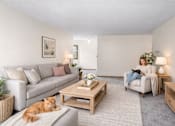 Thumbnail 20 of 39 - A woman is sitting on a couch in a living room with a cat lying on the floor.