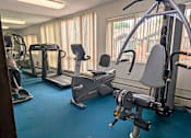 Thumbnail 39 of 58 - A gym with a variety of equipment including treadmills, elliptical machines, and weight machines.