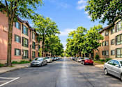 Thumbnail 29 of 58 - A tree-lined street with cars parked on both sides.