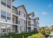 Thumbnail 11 of 33 - A row of modern townhouses with balconies and landscaped gardens.