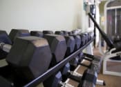 Thumbnail 3 of 21 - Gym Dumbells