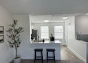 Thumbnail 15 of 21 - A kitchen with white walls and a tree in a white pot.