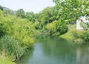 Thumbnail 4 of 12 - A serene lake surrounded by lush greenery and a white building in the distance.