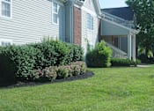 Thumbnail 3 of 8 - A house with a well-kept lawn and a flower bed in front.