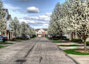 Thumbnail 11 of 17 - A residential street lined with blooming trees and parked cars. at Twin Fountains Apartments, Mason, OH, 45040