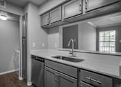 Thumbnail 17 of 44 - Kitchen Sink at Wellington at Willow Bend, Plano, 75093