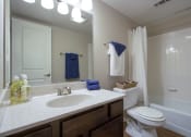 Thumbnail 24 of 37 - Large Bathroom with Bathtub at The Greenway at Carol Stream, Illinois, 60188