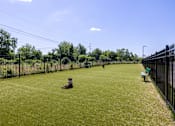 Thumbnail 13 of 22 - Fenced dog park with artificial turf at Timber Club Apartments, Missouri, 63304