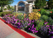 Thumbnail 46 of 51 - Courtyard Garden at Riachi at One21, Plano