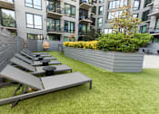 Thumbnail 16 of 37 - Courtyard lounge area with sundeck seating at 1134 Fulton Street Apartments, Brooklyn