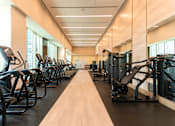 Thumbnail 15 of 56 - The Paxton gym