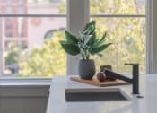 Thumbnail 36 of 42 - a kitchen counter with a potted plant and fruit on it at The 22 Apartments, St. Louis, MO 