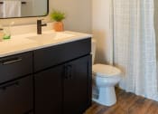 Thumbnail 15 of 28 - a bathroom with a toilet sink mirror and shower in a 555 waverly unit at The Draper, Missouri