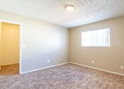 Thumbnail 17 of 22 - the spacious living room of an empty home with carpet and a window