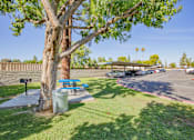 Thumbnail 9 of 22 - a picnic table under a tree next to a parking lot