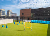 Thumbnail 4 of 24 - a agility course on the lawn of a building with a city in the background