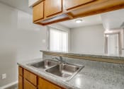 Thumbnail 36 of 46 - a kitchen with a sink and a window
