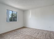 Thumbnail 16 of 31 - an empty room with carpet and a window
