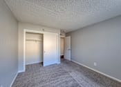 Thumbnail 7 of 17 - a bedroom with a carpeted floor and a closet with a mirrored door