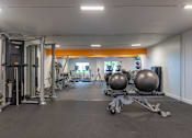 Thumbnail 29 of 41 - a gym with weights machines and other exercise equipment