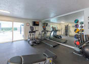 Thumbnail 5 of 25 - a gym with cardio equipment and a sliding glass door