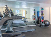 Thumbnail 4 of 25 - a room filled with lots of cardio equipment and weights