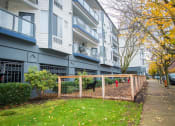 Thumbnail 33 of 42 - a dog in a fenced in area in front of an apartment building