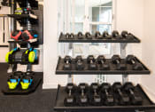 Thumbnail 30 of 42 - a gym with weights and racks of dumbbells