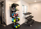 Thumbnail 27 of 42 - a gym with weights and a rack of dumbbells
