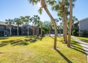 Thumbnail 34 of 43 - a grassy area with palm trees in front of houses