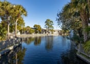 Thumbnail 5 of 43 - a body of water with palm trees and a fence around it