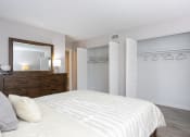 Thumbnail 16 of 43 - a bedroom with a large bed and a closet with a mirror