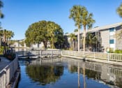 Thumbnail 4 of 43 - a canal with houses and palm trees next to it