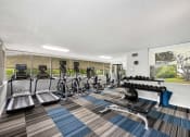 Thumbnail 12 of 33 - a gym with cardio machines and weights on a rug