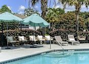 Thumbnail 3 of 20 - a swimming pool with chaise lounge chairs and umbrellas