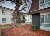 Thumbnail 25 of 36 - a courtyard with a tree and some apartments in the background