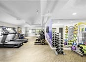 Thumbnail 6 of 25 - the gym at the enclave at woodbridge apartments in sugar land, tx