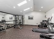 Thumbnail 16 of 48 - A well-equipped gym with a variety of exercise machines and weights.