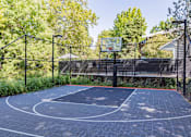 Thumbnail 3 of 48 - A basketball court surrounded by a fence with trees in the background.