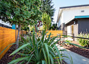 Thumbnail 14 of 29 - a garden with a wooden fence and a tree in front of a building