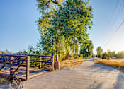 Thumbnail 25 of 31 - a dirt road with a wooden fence on the side and trees on either side of the road