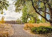 Thumbnail 29 of 31 - a trail leading to a wooden bridge