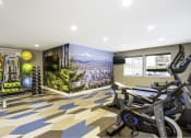 Thumbnail 17 of 22 - a home gym with a large mural on the wall