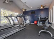 Thumbnail 19 of 27 - A home gym with a TRUE treadmill, exercise bike, and other equipment.
