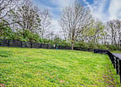 Thumbnail 15 of 31 - A grassy field with a fence and trees in the background.