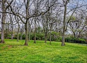 Thumbnail 14 of 31 - A field of green grass with trees in the background.
