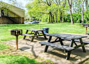 Thumbnail 17 of 31 - Picnic tables and benches are set up in a grassy area.