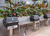 Thumbnail 10 of 73 - outdoor grilling stations